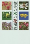 都会の木の花図鑑＜新装版＞