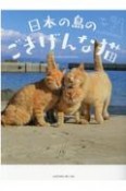 日本の島のごきげんな猫