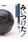 だんごむし　みいつけた！がっこうのまわりのいきもの1