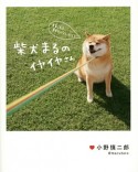 柴犬まるのイヤイヤさん