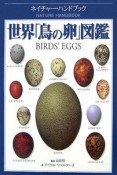 世界「鳥の卵」図鑑