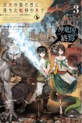 次元の裂け目に落ちた転移の先で　神竜国の終焉（3）