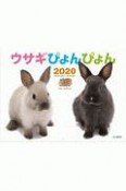 ウサギぴょんぴょん　カレンダー　2020