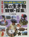 水辺の自然・遊んで学ぼう　海の生き物　観察・採集（4）