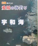 愛媛の海釣り　宇和海