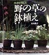 野の草の鉢植え