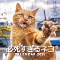 2025　必死すぎるネコカレンダー