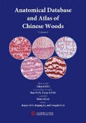 Anatomical　Database　and　Atlas　of　Chinese　Volume　I