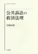 公共訴訟の救済法理