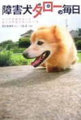 障害犬タローの毎日