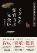 メダカの飼育方法完全版