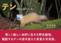 テン　種をまく森のハンター