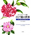 ボタニカルアートで描く江戸椿の世界　古典籍『椿伊呂波名寄色附』併載