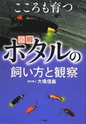 図解・ホタルの飼い方と観察