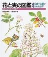 花と実の図鑑　校庭や街路でみられる木（4）