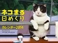 ネコまる日めくり　カレンダー　2014