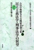 民主主義法学・刑事法学の展望（下）　刑法・民主主義と法