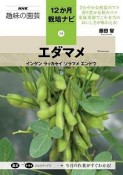 エダマメ　インゲンラッカセイソラマメエンドウ　NHK趣味の園芸　12か月栽培ナビ19