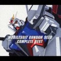 機動戦士ガンダムSEED　COMPLETE　BEST(DVD付)