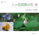 八ヶ岳高原の花　春　日ビ貞夫写真集