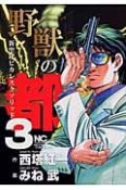 野獣の都　新聖紀ピカレスクソリッド（3）