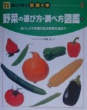 総合学習遊んで学ぶ野菜の本　野菜の選び方・調べ方図鑑（1）