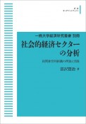 社会的経済セクターの分析　一橋大学経済研究叢書　別冊