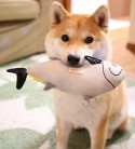 柴犬だいふく