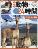 密着！動物たちの24時間　アンデス山脈編