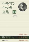 ヘルマン・ヘッセ全集　荒野の狼（13）