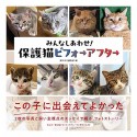 みんなしあわせ！　保護猫ビフォーアフター