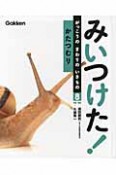 かたつむり　みいつけた！がっこうのまわりのいきもの8