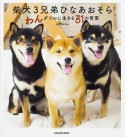 柴犬3兄弟　ひなあおそら　わんダフルに生きる31の言葉