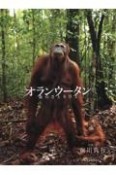 オランウータン　森のさとりびと