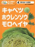 キャベツ・ホウレンソウ・モロヘイヤ　葉を食べる野菜　めざせ！栽培名人花と野菜の育てかた4