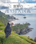 世界の渡り鳥大図鑑