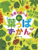 五感で調べる木の葉っぱずかん　見る知る考えるずかん