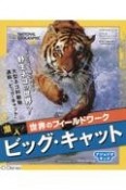 潜入！世界のフィールドワーク　ビッグ・キャット