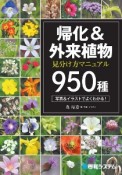 帰化＆外来植物見分け方マニュアル950種　瞬時に同定できる