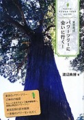 東京周辺　パワーツリーに会いに行く！