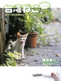 台湾ねこ　ニ〜ハオ