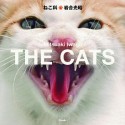 THE　CATS　ねこ科