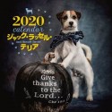 大判カレンダー　ジャック・ラッセル・テリア　2020