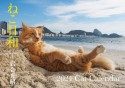 ねこ日和Cat　Calendar【S13】　2024