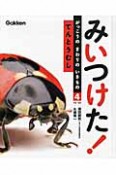 てんとうむし　みいつけた！がっこうのまわりのいきもの4