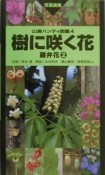 樹に咲く花　離弁花（2）