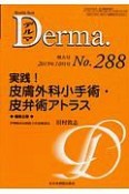 Derma．　2019．10（288）