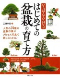 いちばんていねいな　はじめての盆栽の育て方