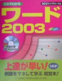 これでわかるワード2003