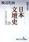日本文壇史　大正文学の擡頭（23）